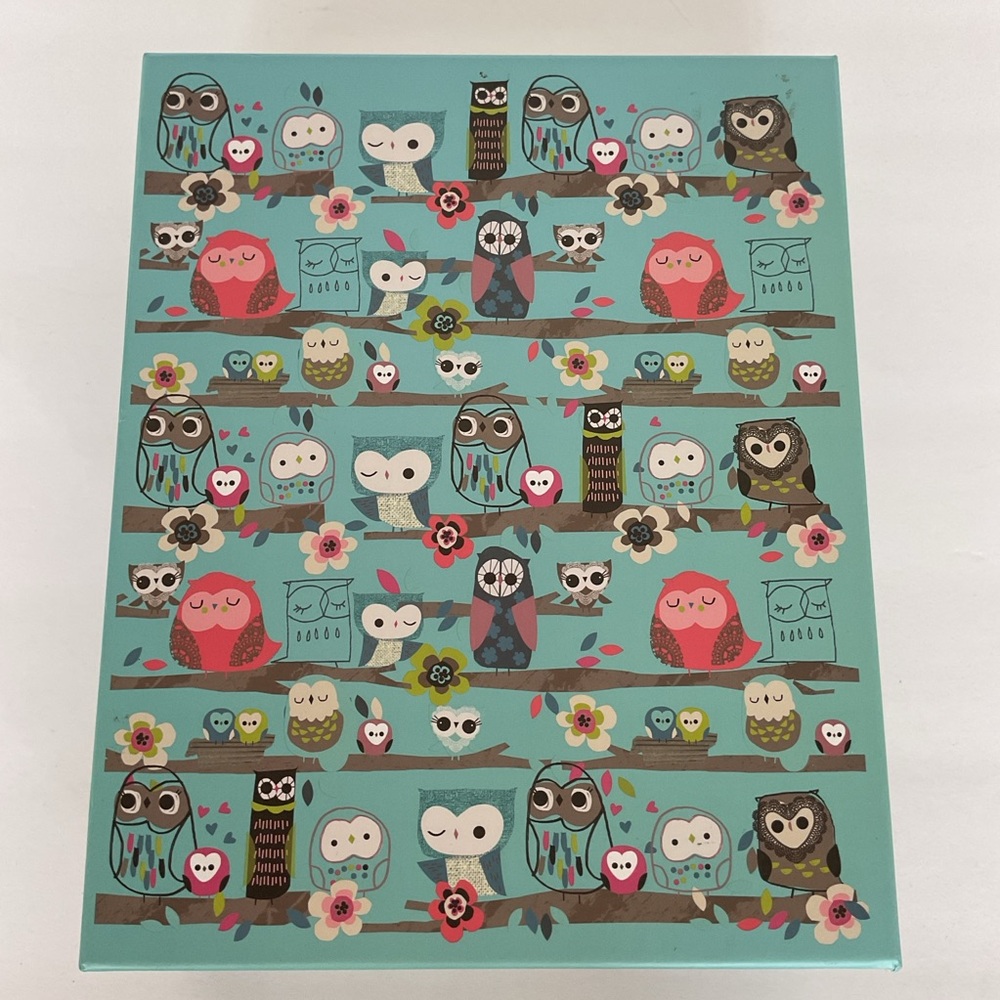 Paperchase Cutie Hootie Document Storage box.